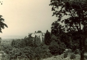 Ein Foto der Burgruine Bertholdstein