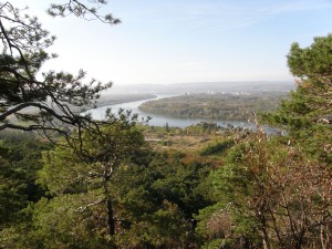 Ein Blick über die Donau