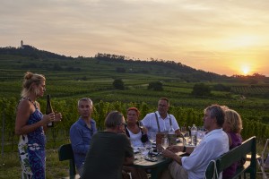 Weinhof Hoch 13. 08. 2021 29