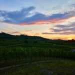 Hahn 26. 07. 2024 39
